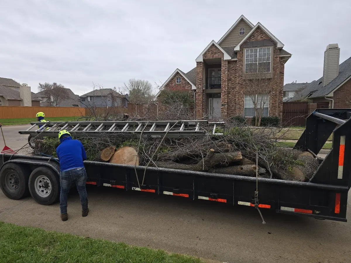 Expert Tree Fertilization with proper safety equipment in Ihlen